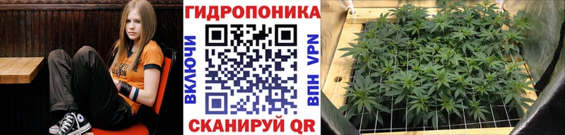 Каннабис MAZAR  Зубцов 
